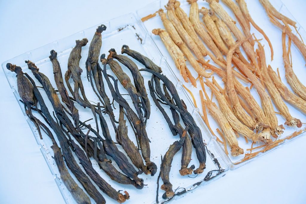 하얀색 테이블 위에 왼쪽에는 흑삼이 오른쪽에는 홍삼이 놓여져 있다.