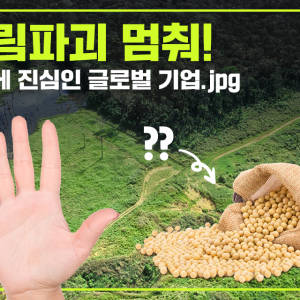 [ESG NOW] 삼림파괴 멈취! 환경에 진심인 글로벌 기업!