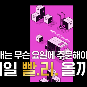 [쓸궁택잡] 택배를 제일 빨리 받으려면 무슨 요일에 주문해야할까?