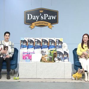 CJ온스타일, 프리미엄 펫사료 ‘데이스포 테라픽’ 올펫 방송 진행