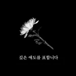 [결방 안내] tvN, tvN STORY