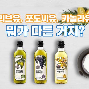 올리브유, 포도씨유, 카놀라유… 뭐가 다른 거지?