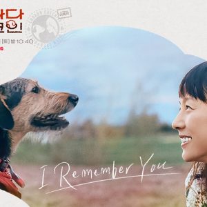 tvN ‘캐나다 체크인’, 이효리와 강아지의 특별한 시선 담은 공식 포스터 공개!