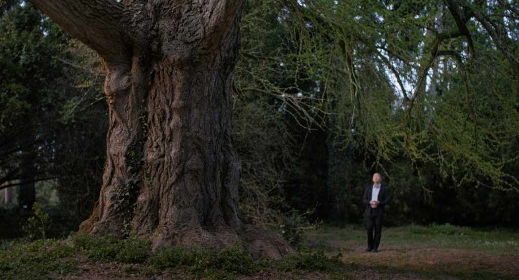 캠퍼스의 오래된 은행나무 곁에 머무는 토니