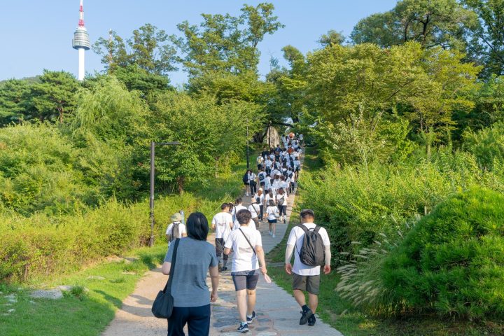 N서울타워, ‘2026 글로벌 나이트 워크’ 13일 첫 개최… 1회차 매진 속 여름밤 축제 기대감↑